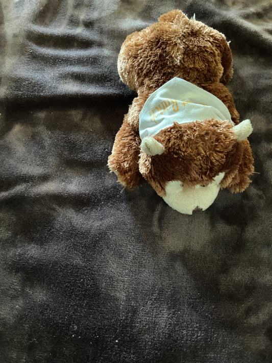 Brown Bear plush toy