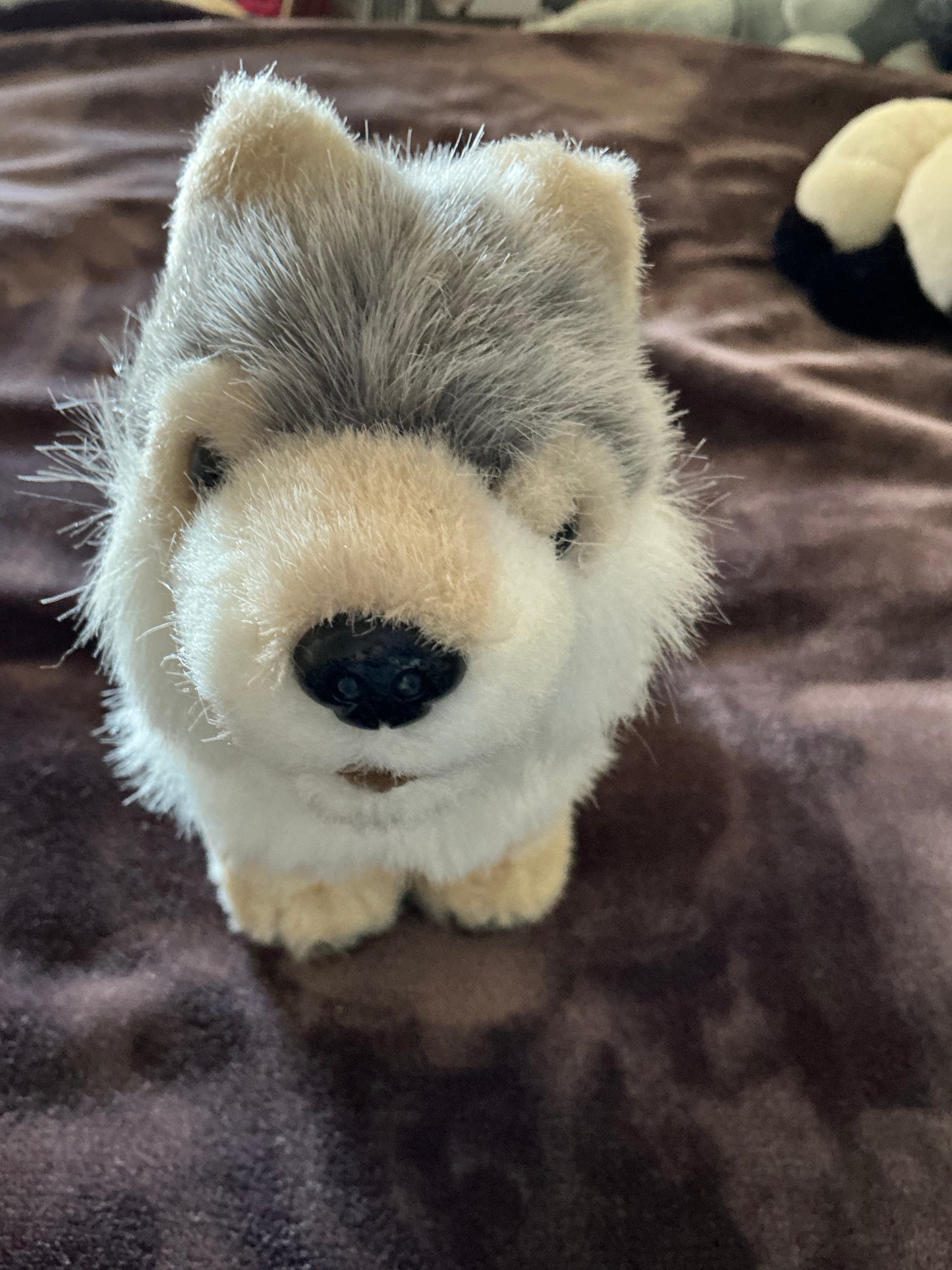 Gray and White Wolf Plush TOY