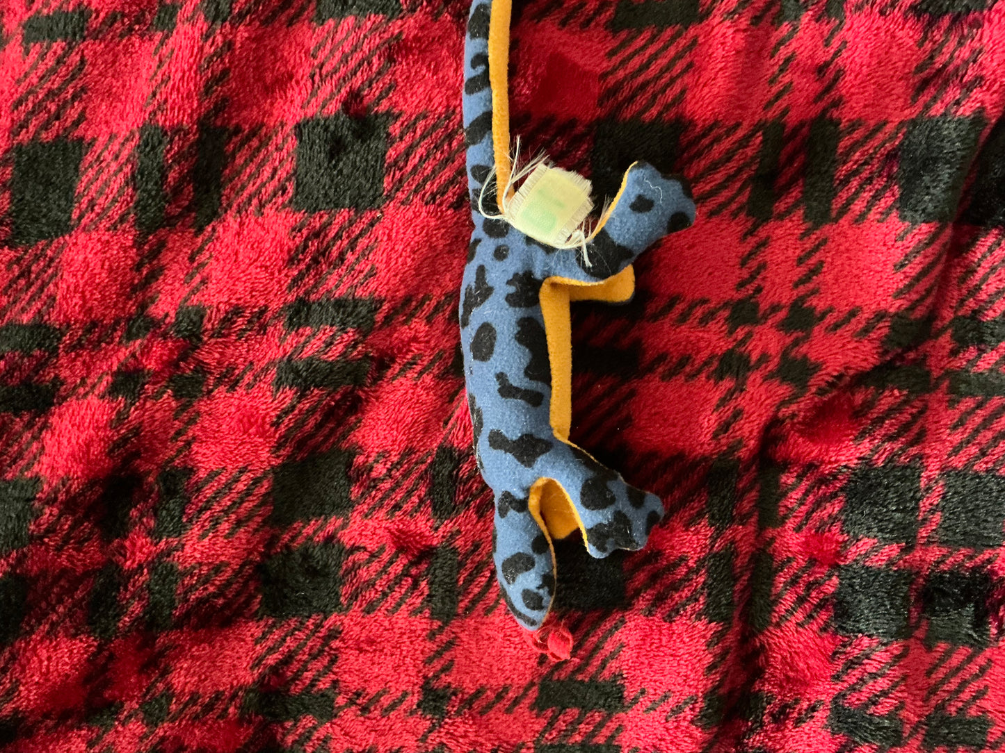 Blue and Black Lizzard Beanie Baby