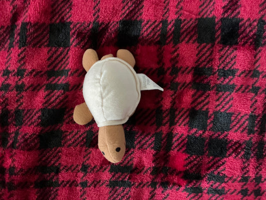 Ty Beanie Baby Turtle
